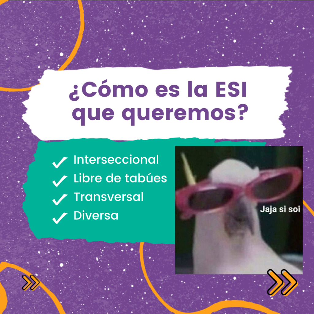 ¿Cómo es la ESI que queremos? Interseccional, Libre de Tabúes, Transversal y Diversa